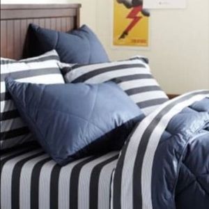 NWOT Pottery Barn Euro Sham covers 26x26